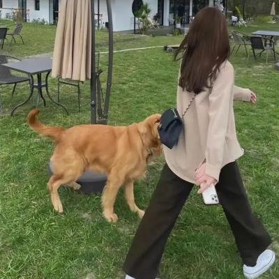 小脚板走天涯2